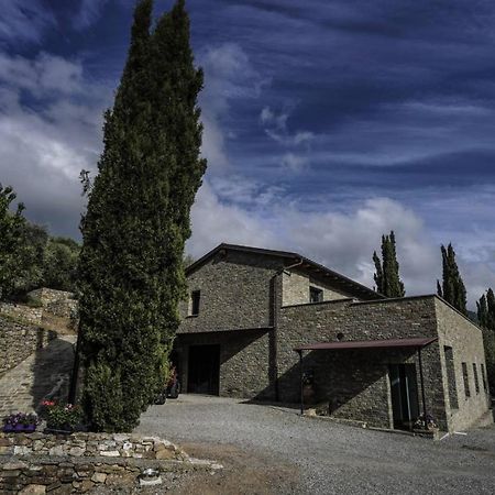 B&B Il Pianolo Perinaldo Dış mekan fotoğraf