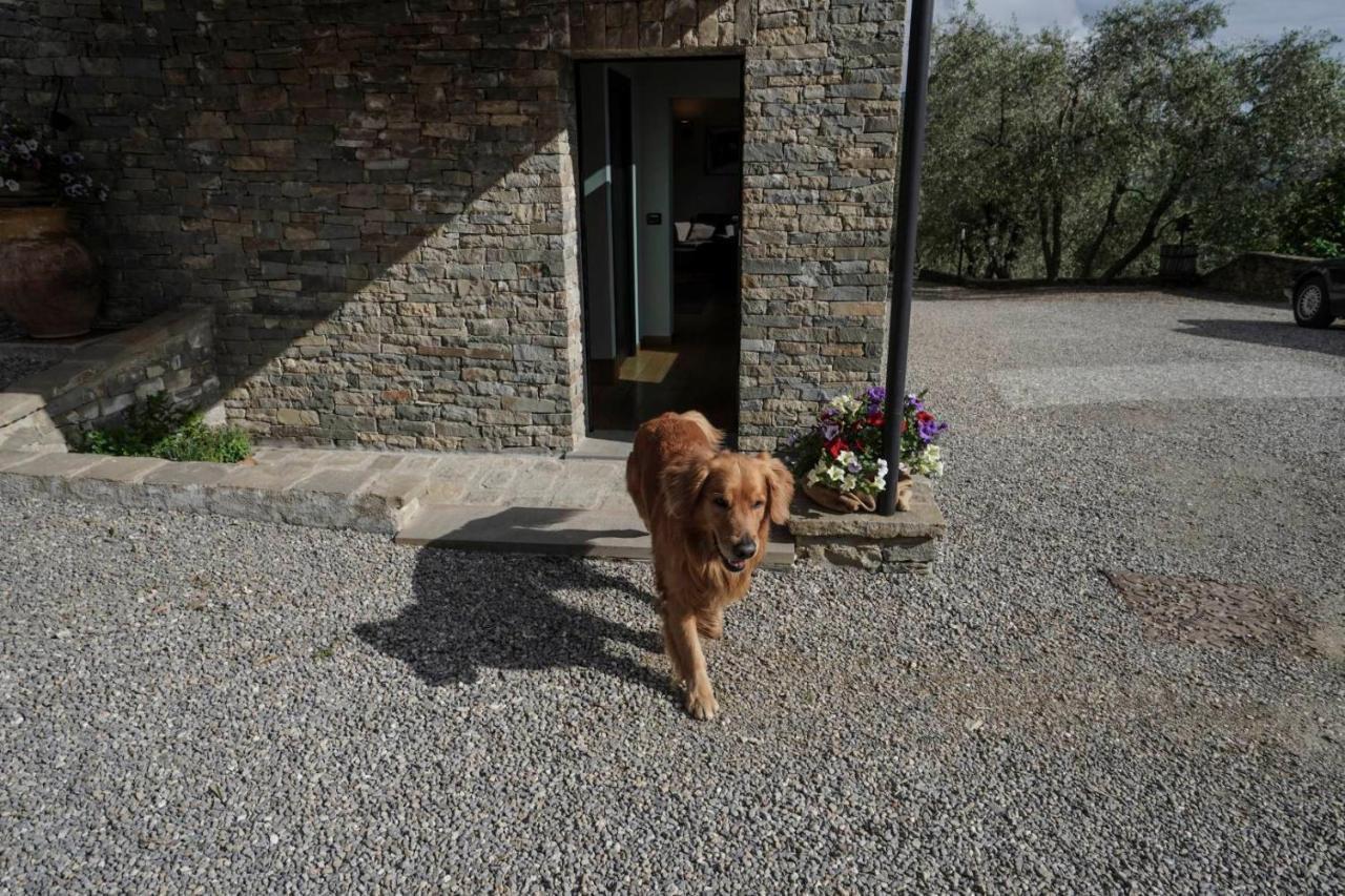 B&B Il Pianolo Perinaldo Dış mekan fotoğraf