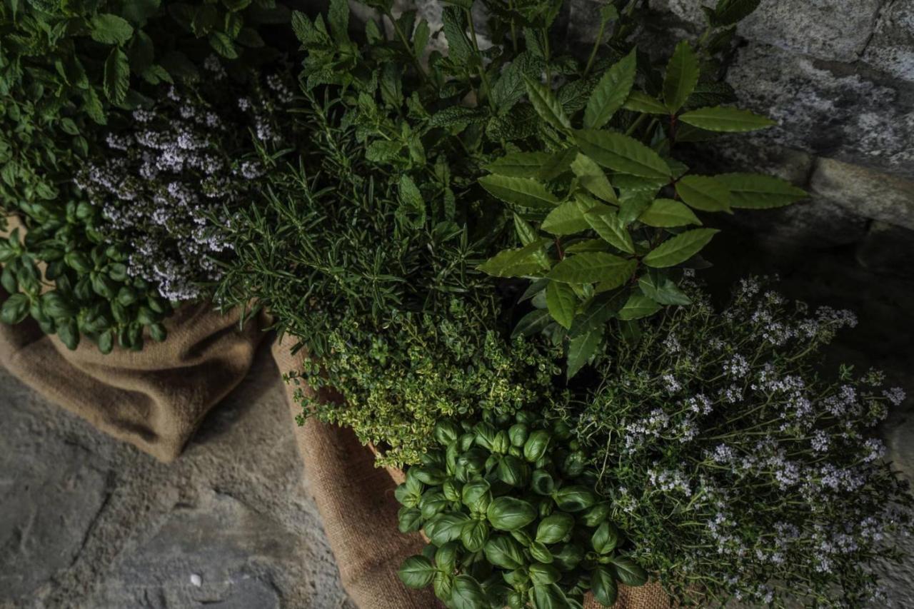 B&B Il Pianolo Perinaldo Dış mekan fotoğraf